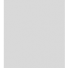 크라이술러의 사랑의 기쁨